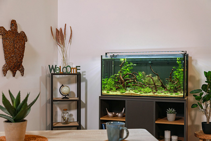 aquarium et meuble
